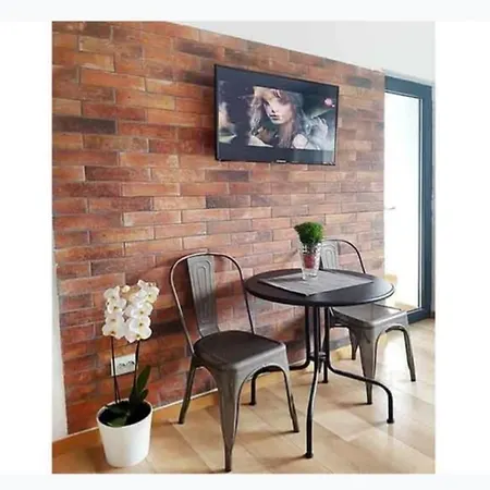 Piata Victoriei Pat Dublu, Canapea Extensibila 아파트