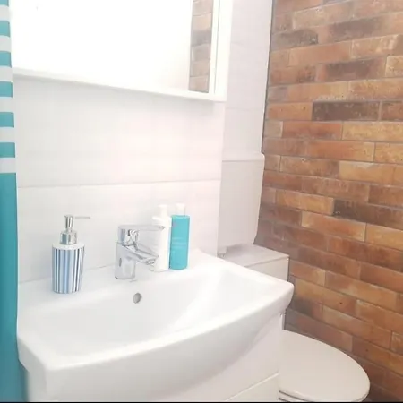 Apartmán Piata Victoriei Pat Dublu, Canapea Extensibila